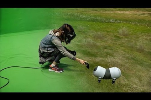 a person in a green field